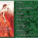 Selection 02 - Die Elite von Kiera Cass