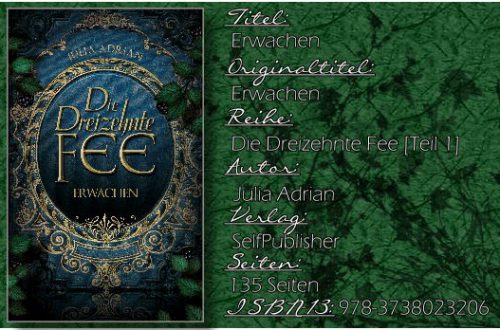 Die Dreizehnte Fee 01 - Erwachen von Julia Adrian