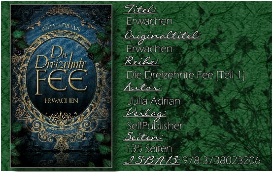 Die Dreizehnte Fee 01 - Erwachen von Julia Adrian