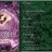 Das Juwel 01 - Die Gabe von Amy Ewing