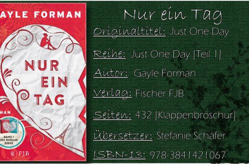 Nur ein Tag von Gayle Forman