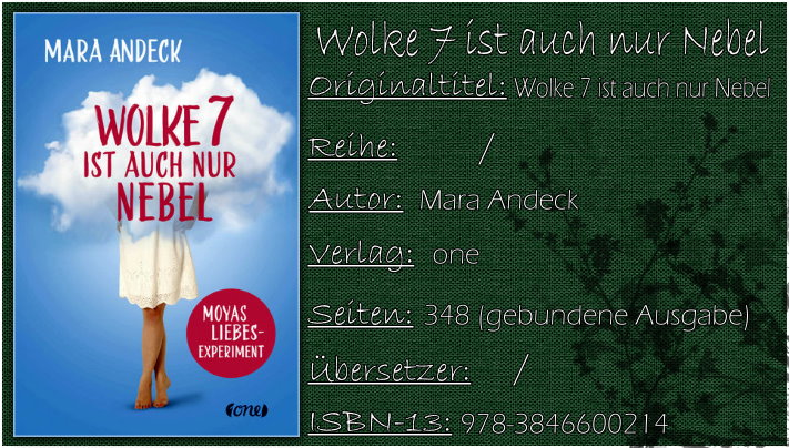 Wolke 7 ist auch nur Nebel von Mara Andeck
