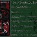 The Shadows Between Us von Tricia Levenseller